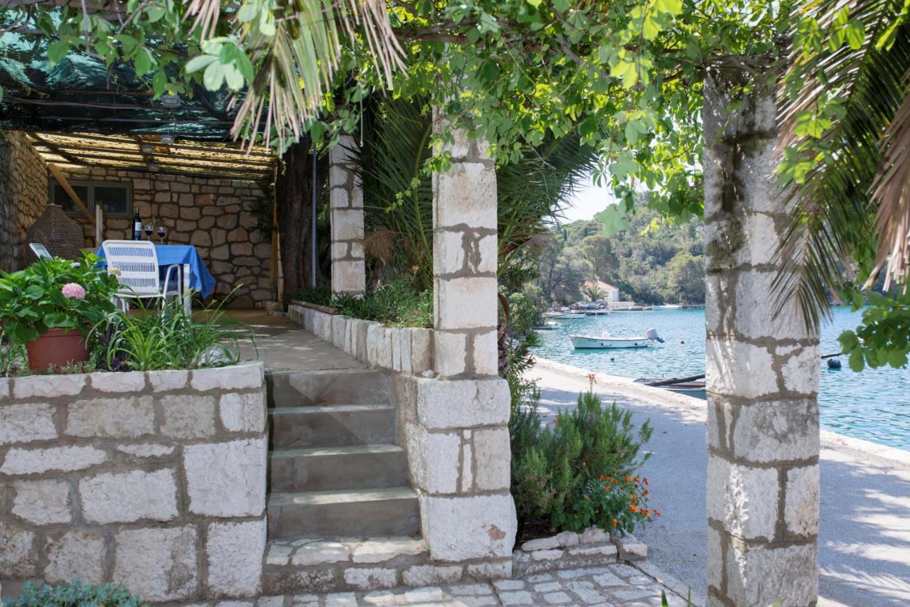 Guesthouse Pavla Goveđari المظهر الخارجي الصورة